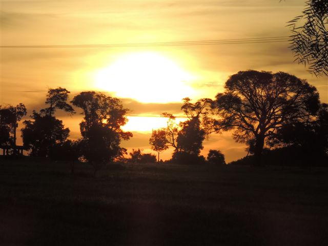DSCN3461