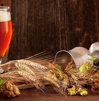 Cervejas gourmet