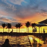 Ninho Verde I – Foto: @ellenjoyluna