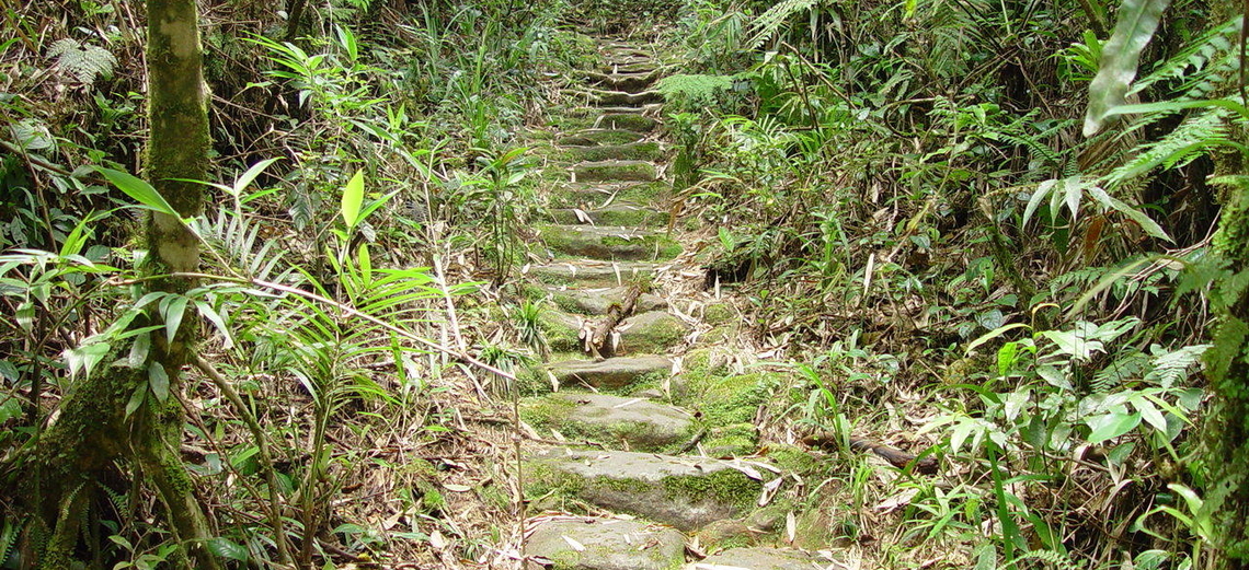 O Caminho de Peabiru