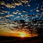 Ninho Verde II – Foto: Roberto Ferreira